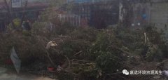 超强台风灾害后垃圾处理，援助第1站：惠州